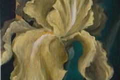 211. Sárga írisz arany csíkkal (15x20 cm fesz.vászon) másolata